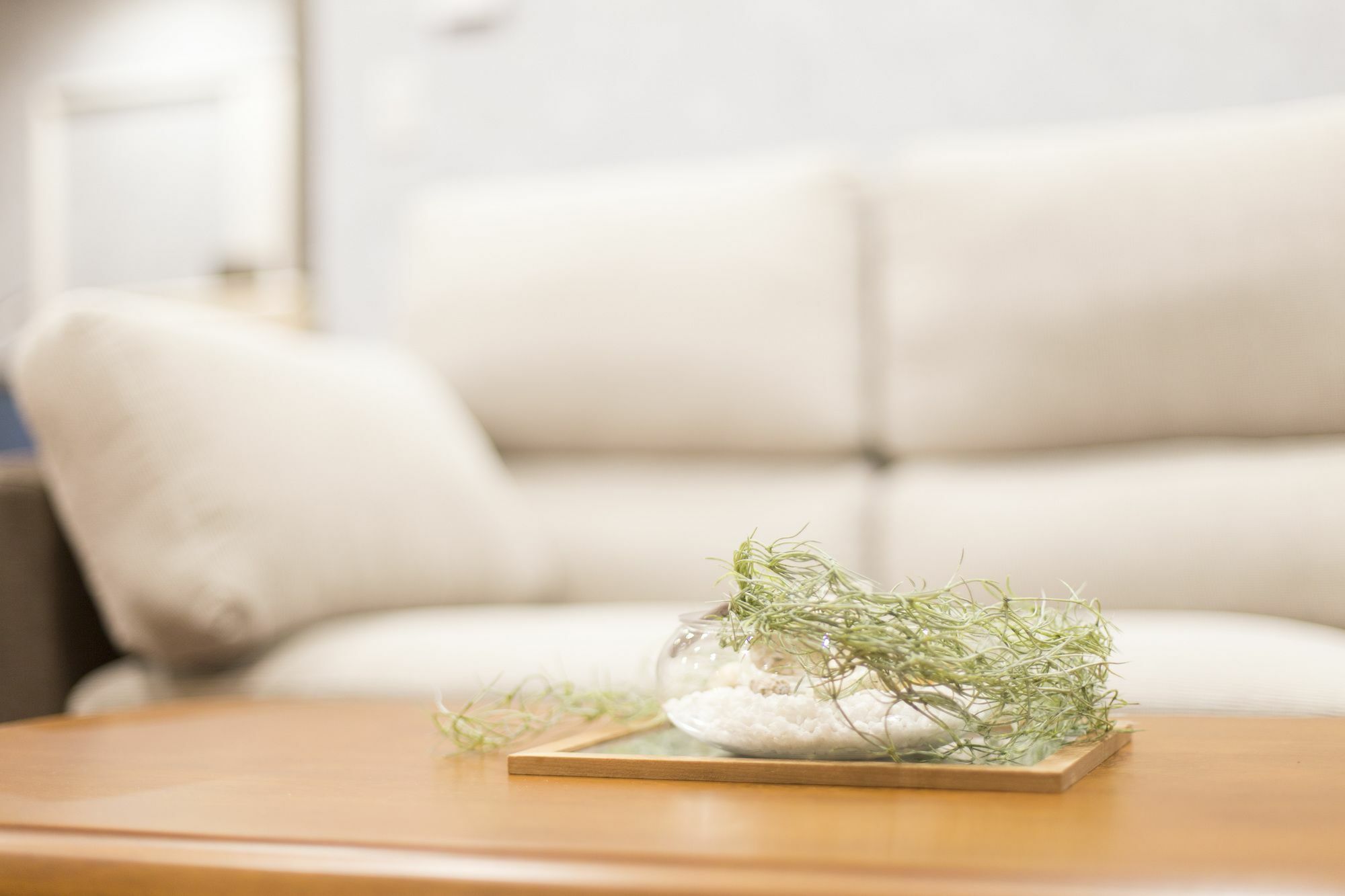 Suite Villa Yagaji Nago Eksteriør bilde